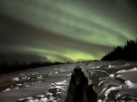 Mushing Aurora